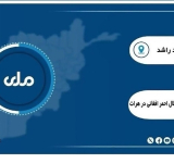   با ابلاغ دستور ممنوعیت نشر تصاویر زنده جان در هرات، پخش تلویزیون ملی این ولایت و برخی تلویزیون‌های خصوصی متوقف شد